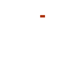 Ancilla Technologies and Services, Inc